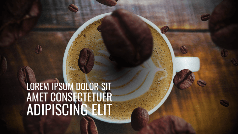 Eyeful Stories: The Coffee Company